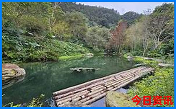 夏天去哪儿旅游凉快点